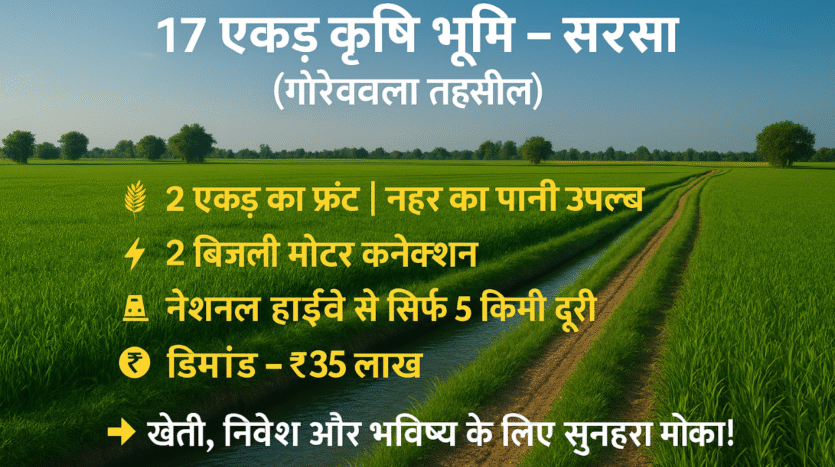 कृषि भूमि – सिरसा (गौरीवाला तहसील)