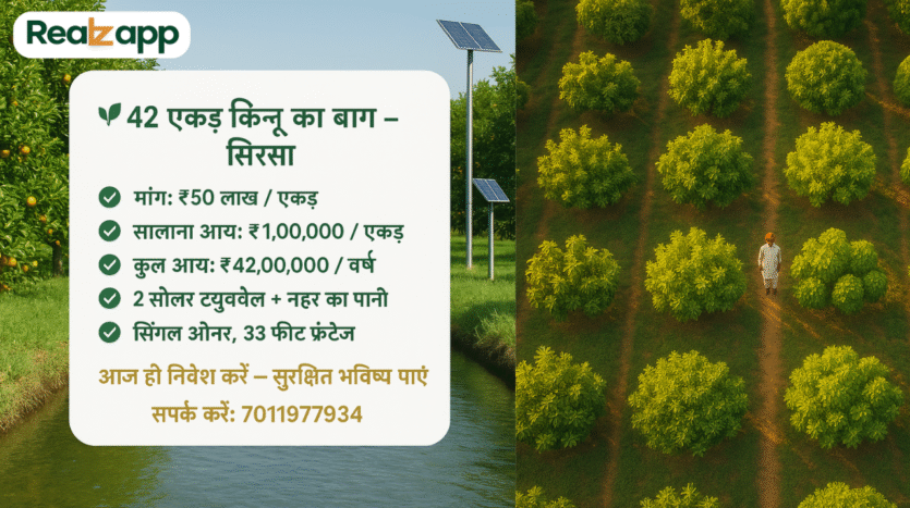 🌱 42 एकड़ किनू का बाग – सिरसा